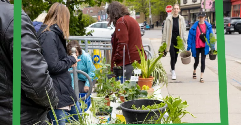 A garden in the street with people around