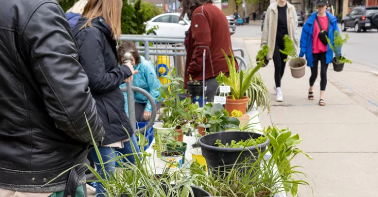 Groups of people gathered outside the Landon Library at a table filled with plants. Two women with plants in each hand on the sidewalk, walking towards the table.