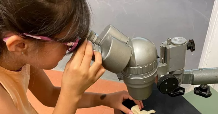 Child looking through microscope
