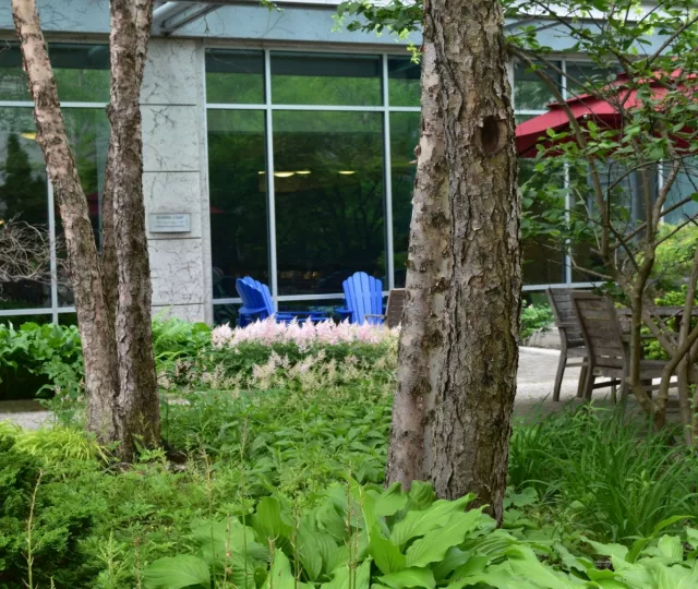 Photo of the Rotary Reading Garden showing lush plants and trees. blue muskoka chairs, wooden chairs and table and a red umbrella.