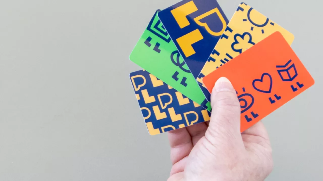 Adult holding five library cards in different colours