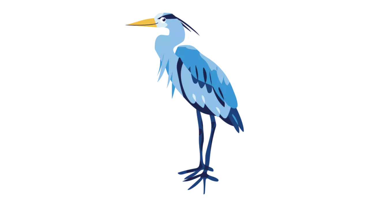 An illustration of a heron