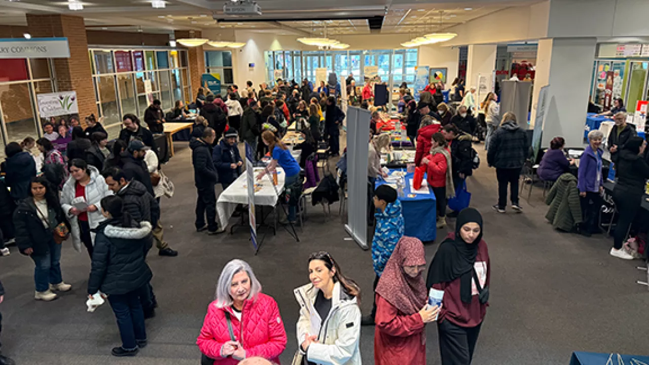 Library fair