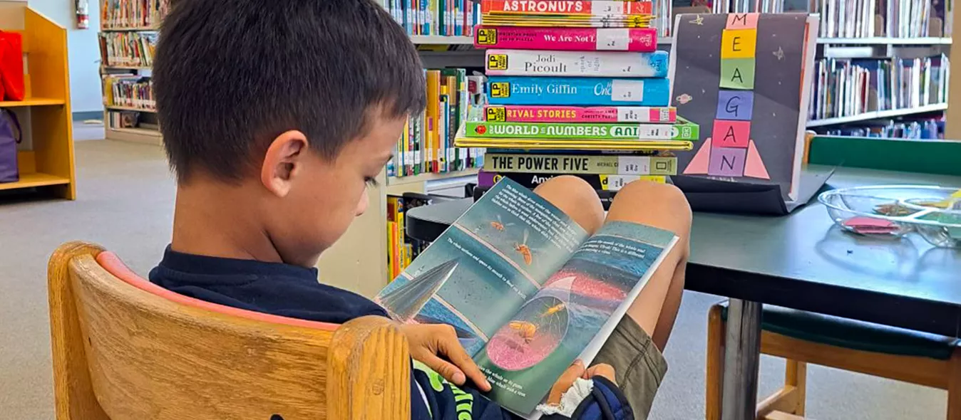 A boy sits in a chair, reading a book with colourful books surrounding him at the Library.