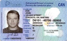 Ontario Driver's License with photo of young man